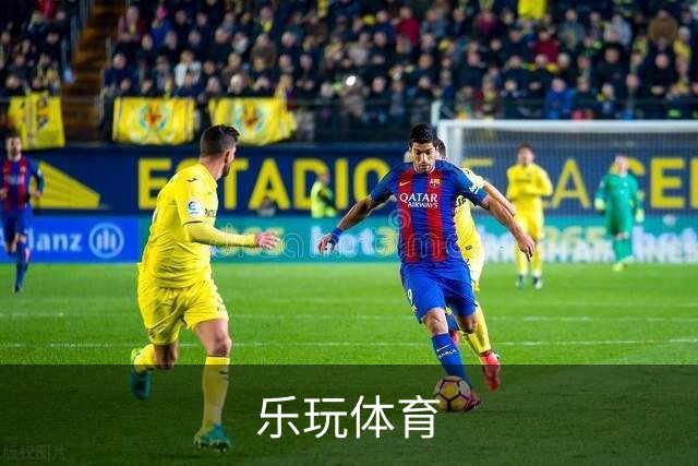 乐玩体育公司简介